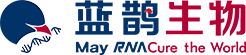 蓝鹊生物